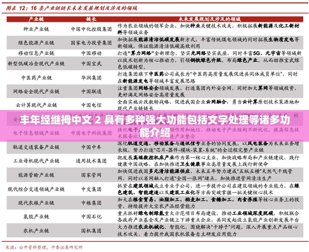 丰年经继拇中文 2 具有多种强大功能包括文字处理等诸多功能介绍