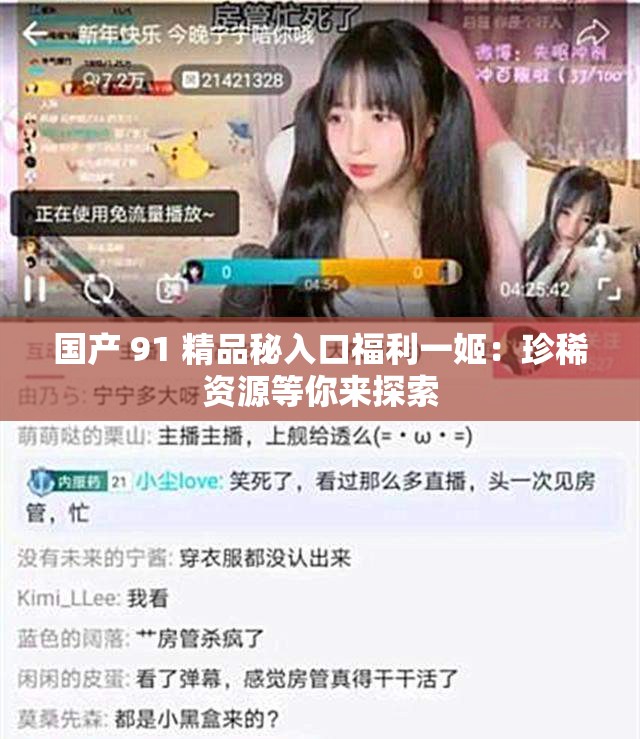 国产 91 精品秘入口福利一姬：珍稀资源等你来探索
