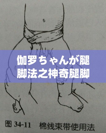 伽罗ちゃんが腿脚法之神奇腿脚技法探秘与解析