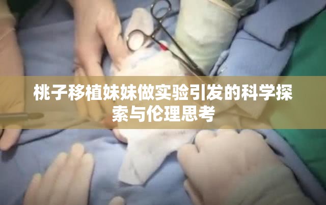 桃子移植妹妹做实验引发的科学探索与伦理思考