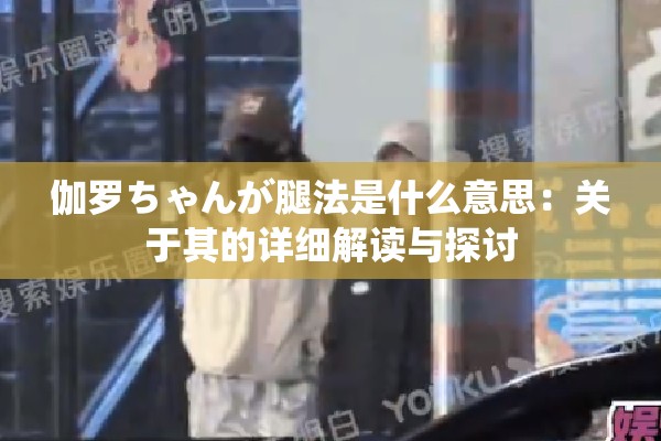 伽罗ちゃんが腿法是什么意思：关于其的详细解读与探讨