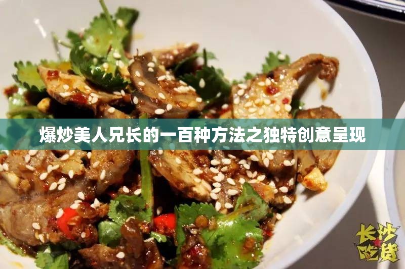 爆炒美人兄长的一百种方法之独特创意呈现