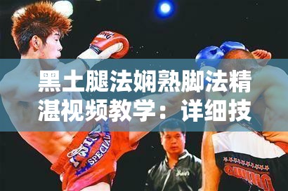黑土腿法娴熟脚法精湛视频教学：详细技巧与训练要点全解析