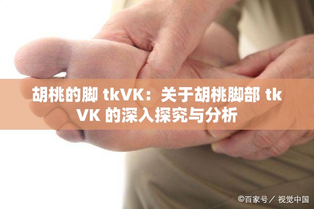 胡桃的脚 tkVK：关于胡桃脚部 tkVK 的深入探究与分析