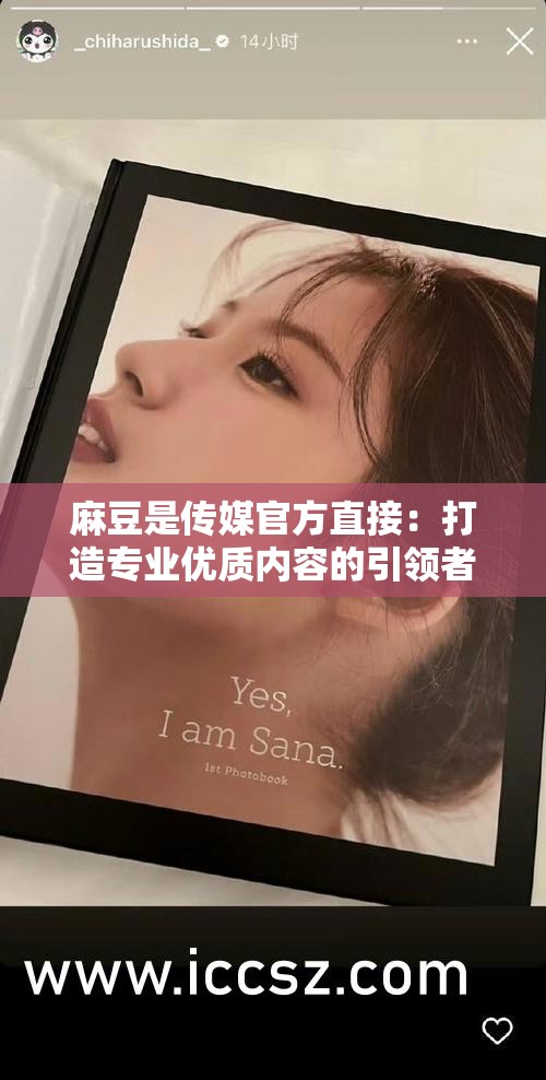 麻豆是传媒官方直接：打造专业优质内容的引领者