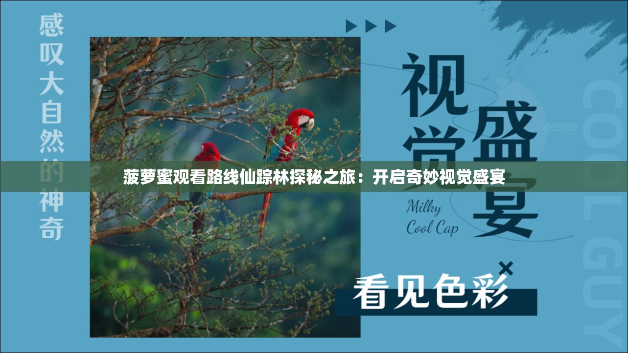 菠萝蜜观看路线仙踪林探秘之旅：开启奇妙视觉盛宴