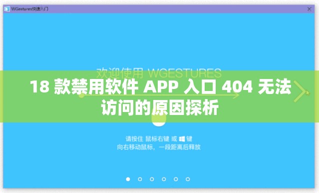 18 款禁用软件 APP 入口 404 无法访问的原因探析
