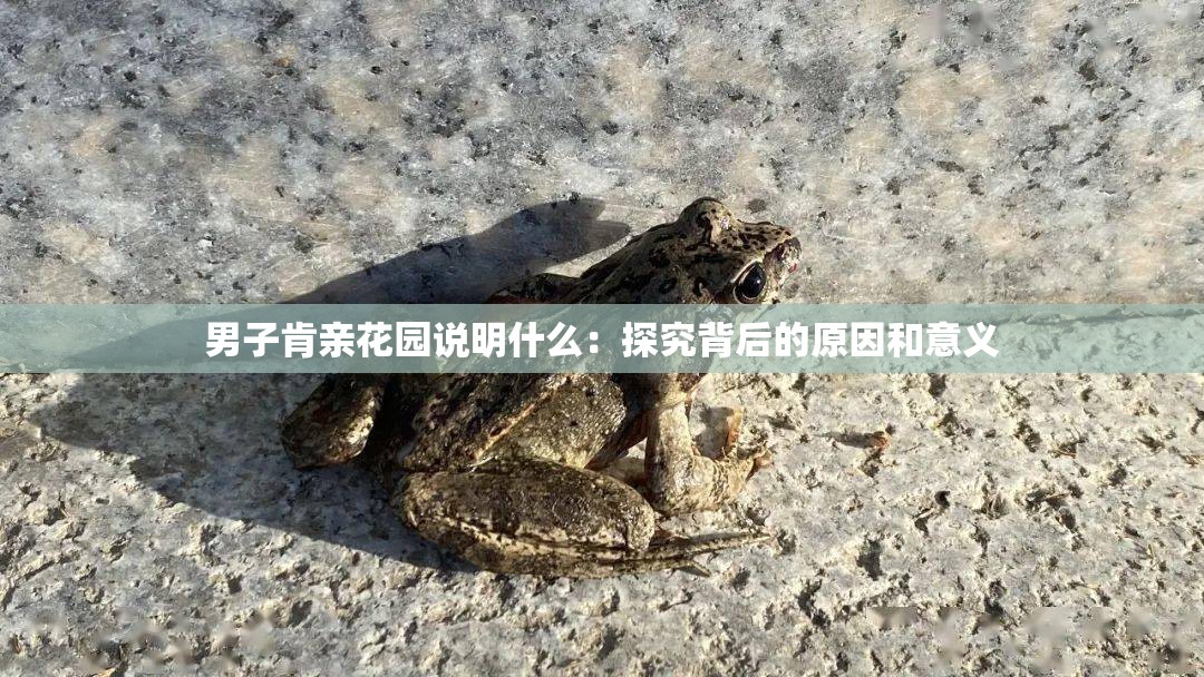 男子肯亲花园说明什么：探究背后的原因和意义