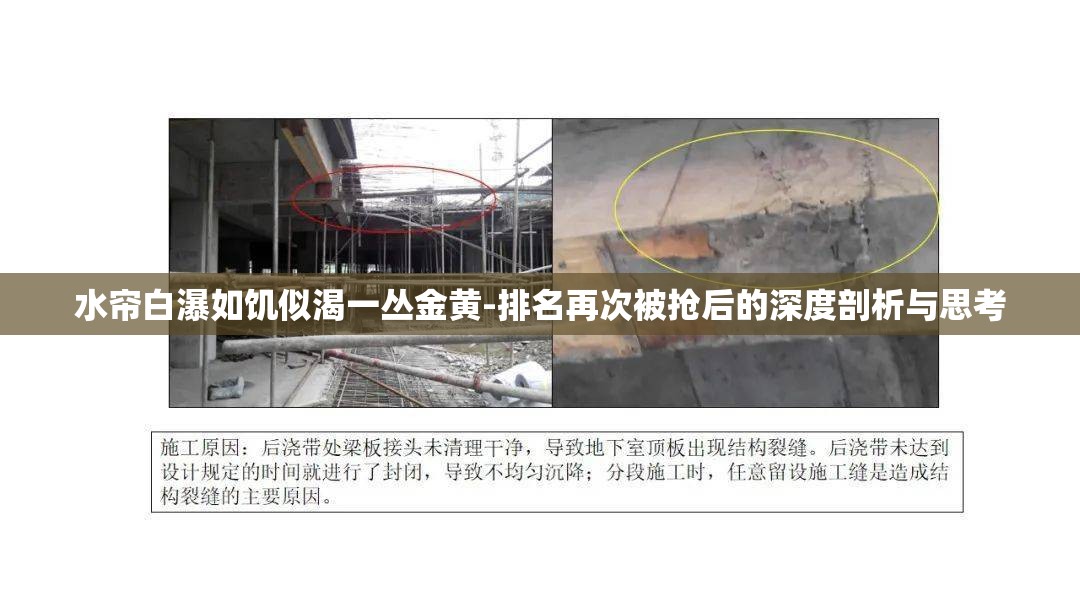 水帘白瀑如饥似渴一丛金黄-排名再次被抢后的深度剖析与思考