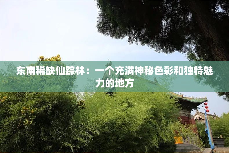 东南稀缺仙踪林：一个充满神秘色彩和独特魅力的地方