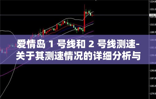 爱情岛 1 号线和 2 号线测速-关于其测速情况的详细分析与探讨