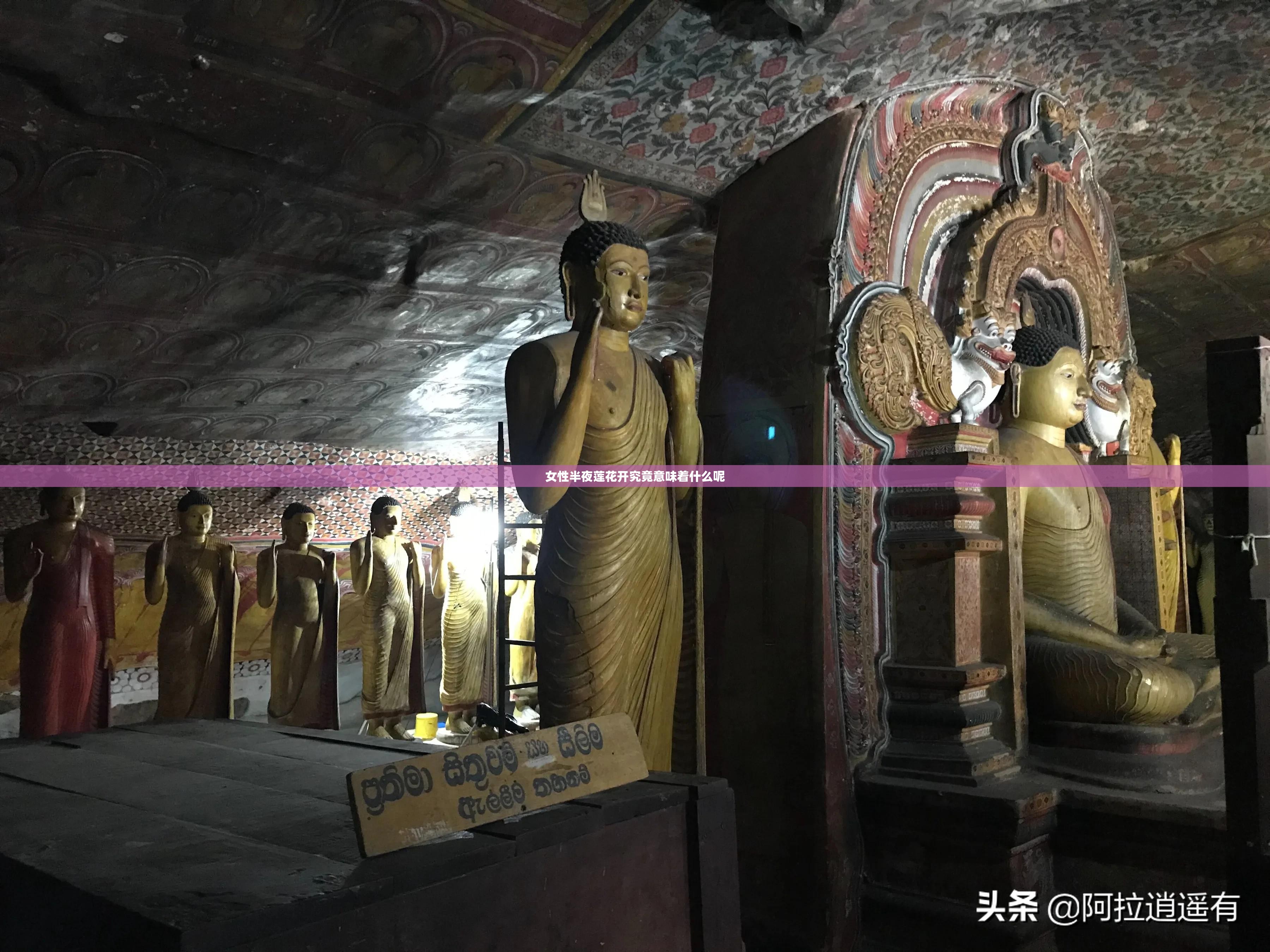 女性半夜莲花开究竟意味着什么呢