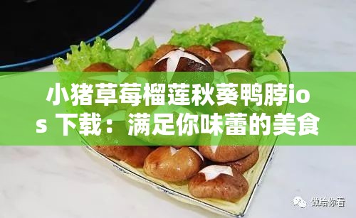 小猪草莓榴莲秋葵鸭脖ios 下载：满足你味蕾的美食之旅