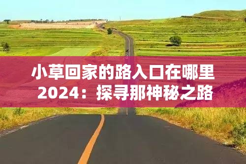 小草回家的路入口在哪里 2024：探寻那神秘之路
