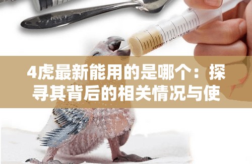4虎最新能用的是哪个：探寻其背后的相关情况与使用分析