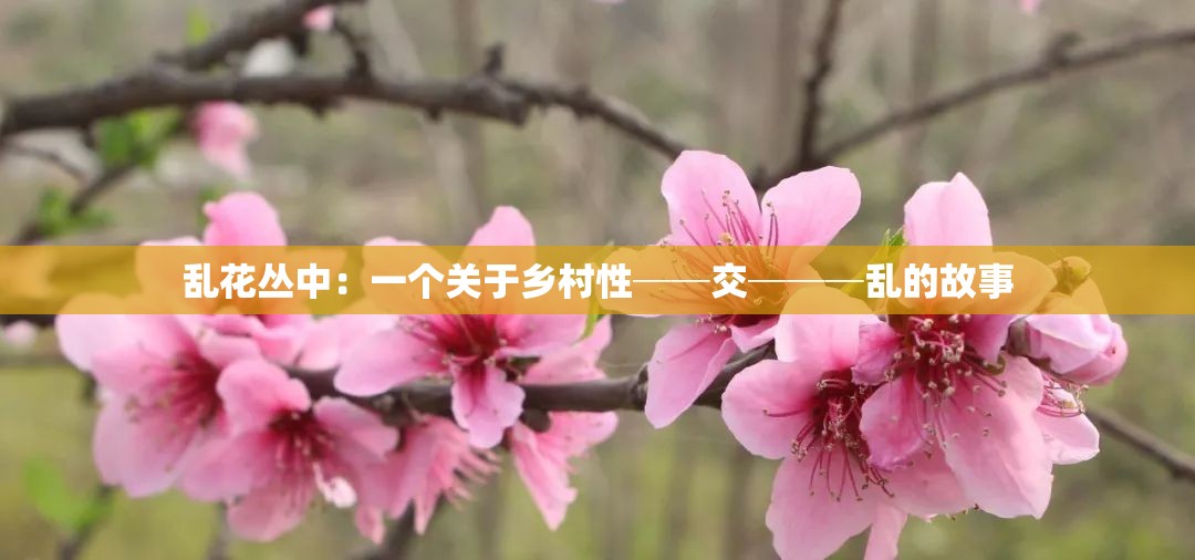 乱花丛中：一个关于乡村性──交───乱的故事