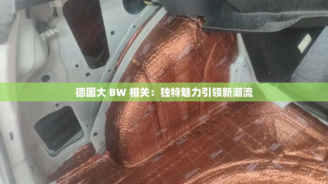 德国大 BW 相关：独特魅力引领新潮流