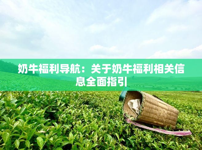 奶牛福利导航：关于奶牛福利相关信息全面指引