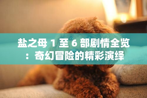 盐之母 1 至 6 部剧情全览：奇幻冒险的精彩演绎