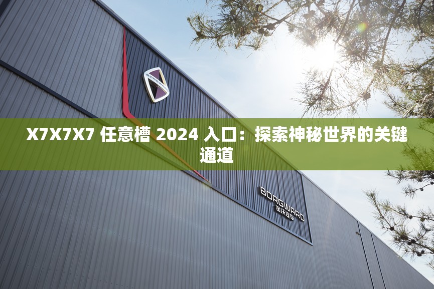 X7X7X7 任意槽 2024 入口：探索神秘世界的关键通道