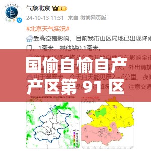 国偷自愉自产产区第 91 区相关内容引发的思考与探讨