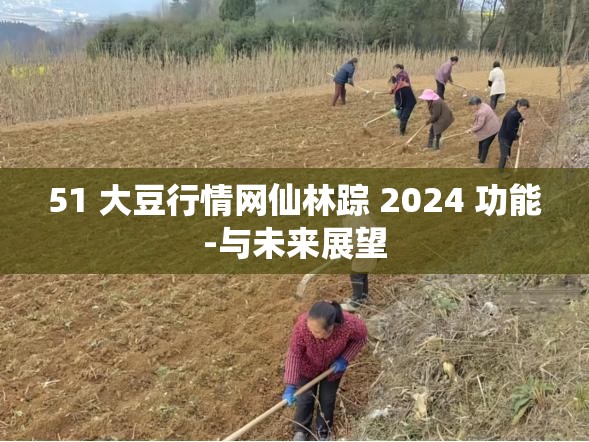 51 大豆行情网仙林踪 2024 功能-与未来展望