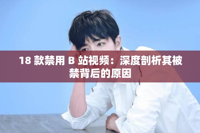18 款禁用 B 站视频：深度剖析其被禁背后的原因