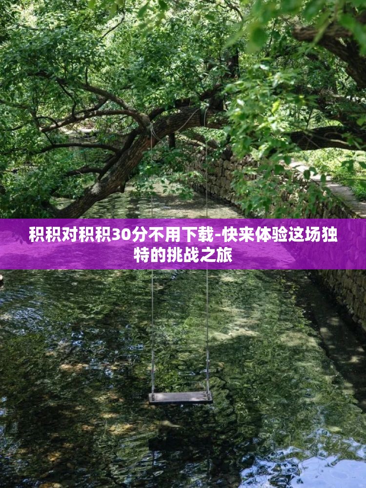 积积对积积30分不用下载-快来体验这场独特的挑战之旅