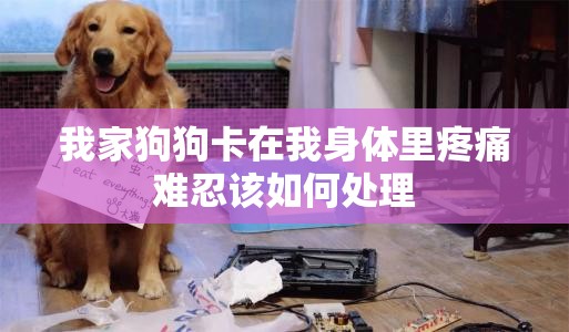 我家狗狗卡在我身体里疼痛难忍该如何处理