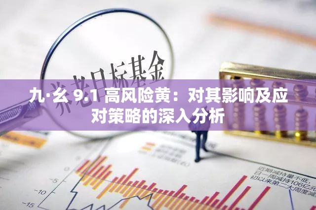 九·幺 9.1 高风险黄：对其影响及应对策略的深入分析