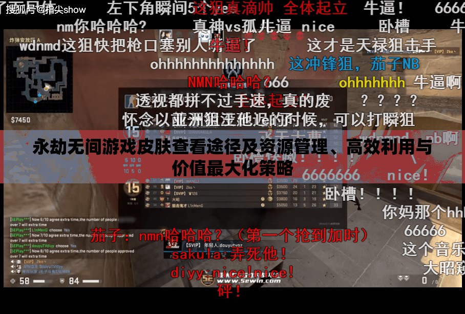永劫无间游戏皮肤查看途径及资源管理、高效利用与价值最大化策略