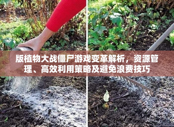 版植物大战僵尸游戏变革解析，资源管理、高效利用策略及避免浪费技巧
