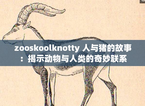 zooskoolknotty 人与猪的故事：揭示动物与人类的奇妙联系