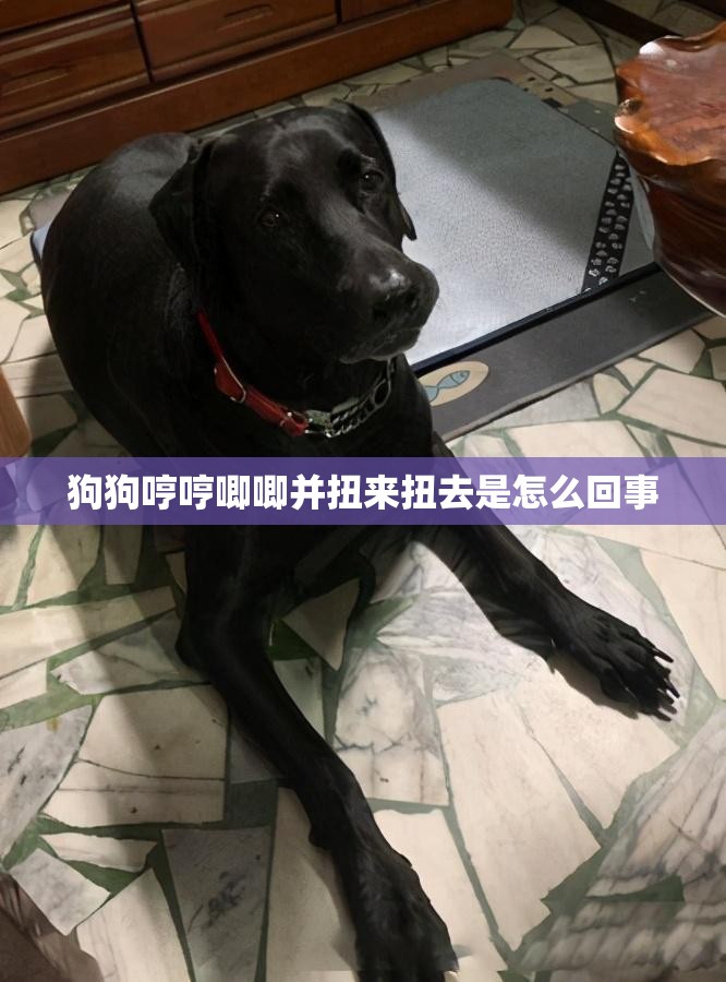 狗狗哼哼唧唧并扭来扭去是怎么回事