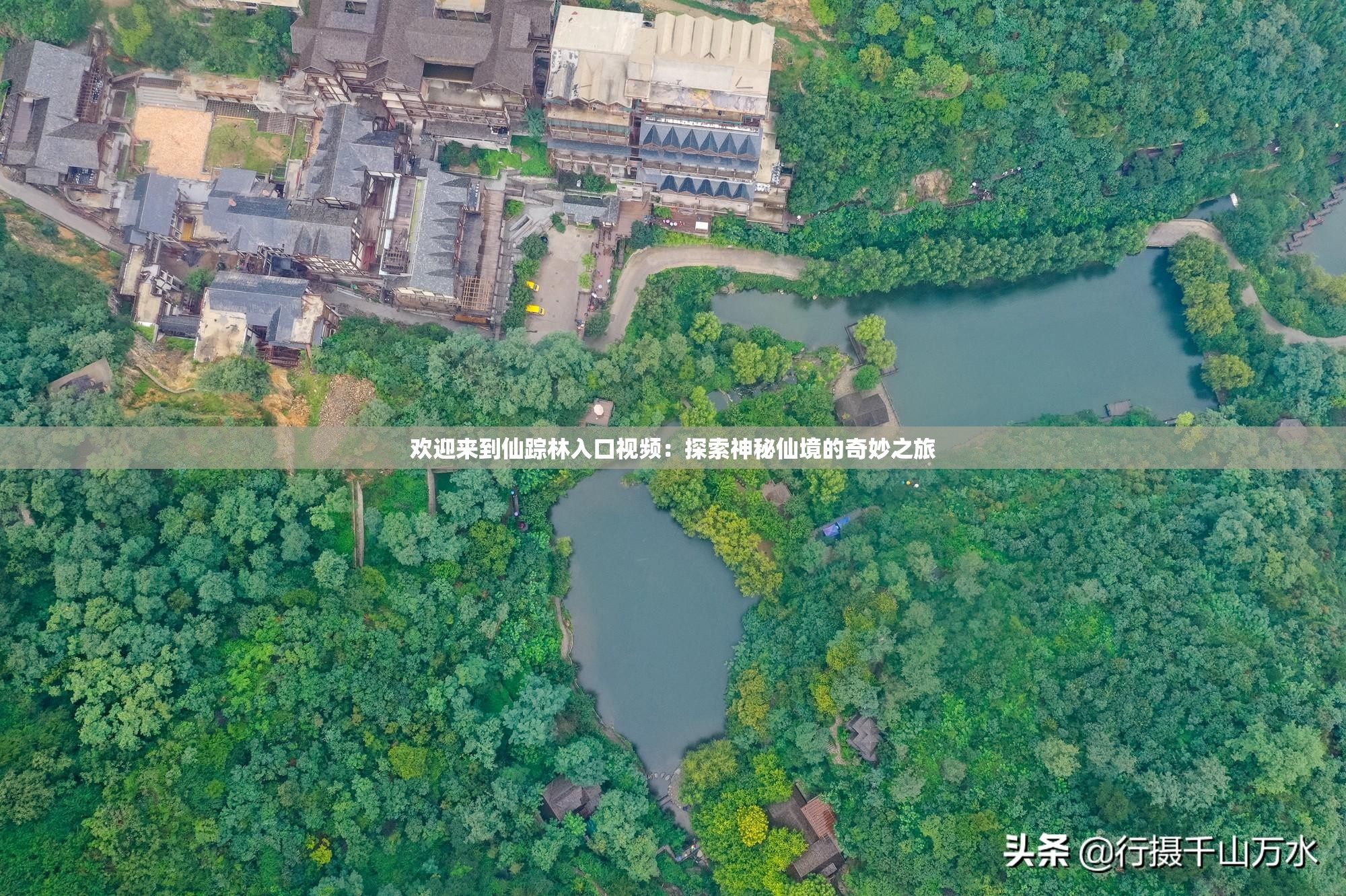 欢迎来到仙踪林入口视频：探索神秘仙境的奇妙之旅