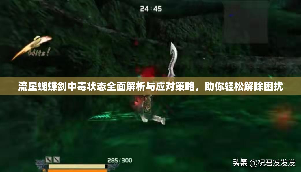 流星蝴蝶剑中毒状态全面解析与应对策略，助你轻松解除困扰