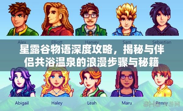 星露谷物语深度攻略，揭秘与伴侣共浴温泉的浪漫步骤与秘籍