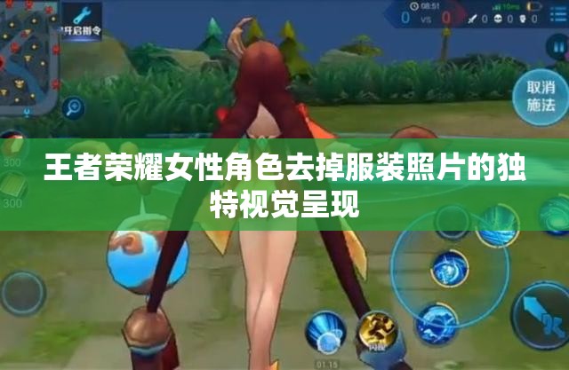 王者荣耀女性角色去掉服装照片的独特视觉呈现