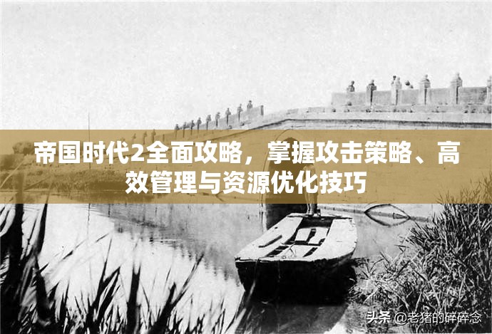 帝国时代2全面攻略，掌握攻击策略、高效管理与资源优化技巧
