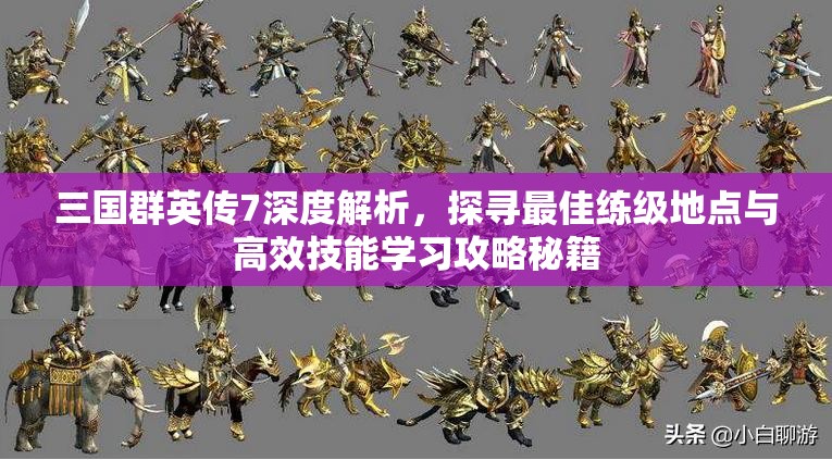 三国群英传7深度解析，探寻最佳练级地点与高效技能学习攻略秘籍