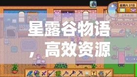 星露谷物语，高效资源管理技巧揭秘，助你精准找到海莉并避免浪费最大化游戏价值