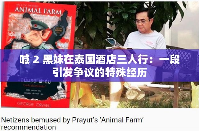 喊 2 黑妹在泰国酒店三人行：一段引发争议的特殊经历