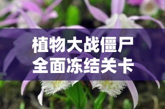 植物大战僵尸全面冻结关卡攻略，高效策略与资源管理技巧详解