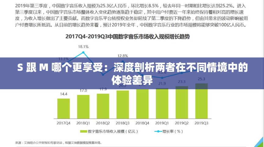 S 跟 M 哪个更享受：深度剖析两者在不同情境中的体验差异