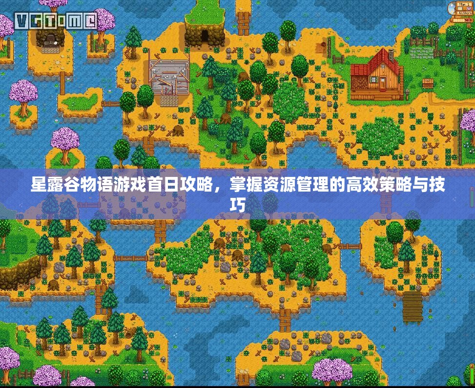 星露谷物语游戏首日攻略，掌握资源管理的高效策略与技巧