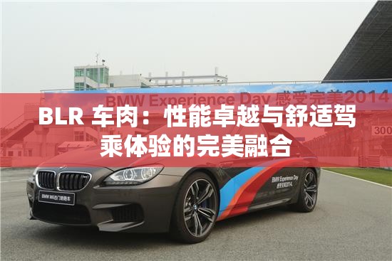 BLR 车肉：性能卓越与舒适驾乘体验的完美融合