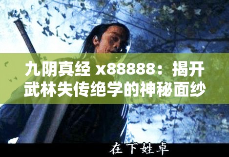 九阴真经 x88888：揭开武林失传绝学的神秘面纱