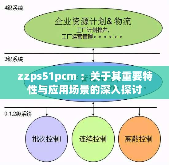 zzps51pcm ：关于其重要特性与应用场景的深入探讨