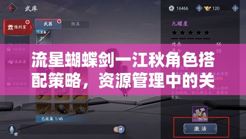 流星蝴蝶剑一江秋角色搭配策略，资源管理中的关键选择与优化方案