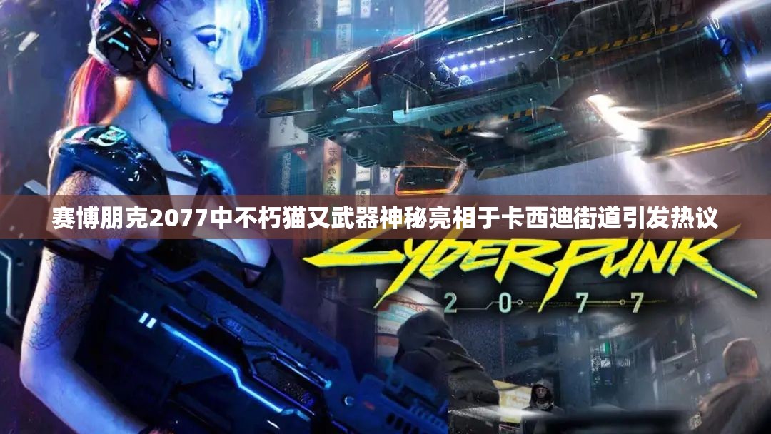赛博朋克2077中不朽猫又武器神秘亮相于卡西迪街道引发热议